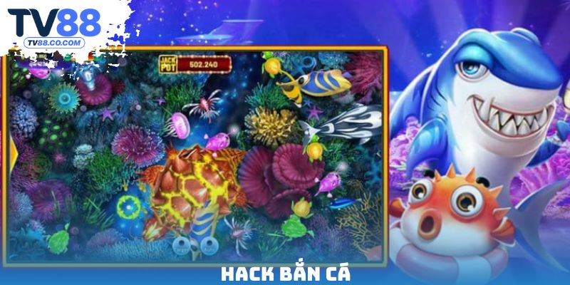 Hack Bắn Cá - Mẹo Cải Thiện Kỹ Năng Và Chiến Thắng Dễ Dàng